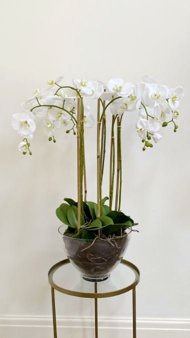 Large Real Touch Everlasting Glass Orchid Planter